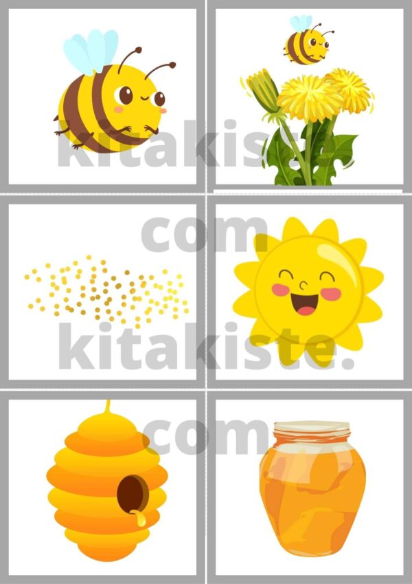 Bildset Biene Gelb Voransicht