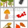 Bildset PDF
