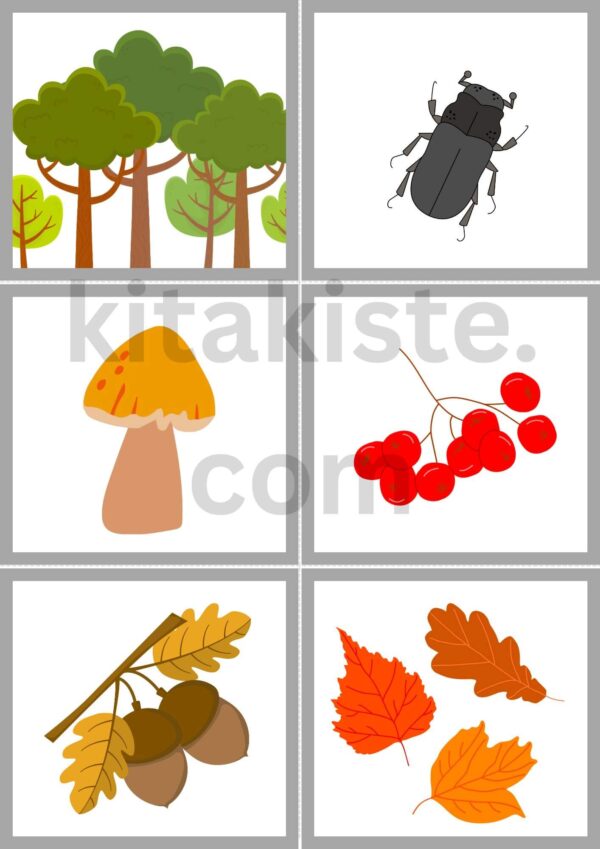 Bildset PDF