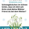 Winterlied Kindergarten Voransicht
